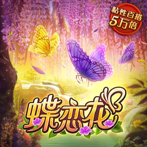 幻影体育